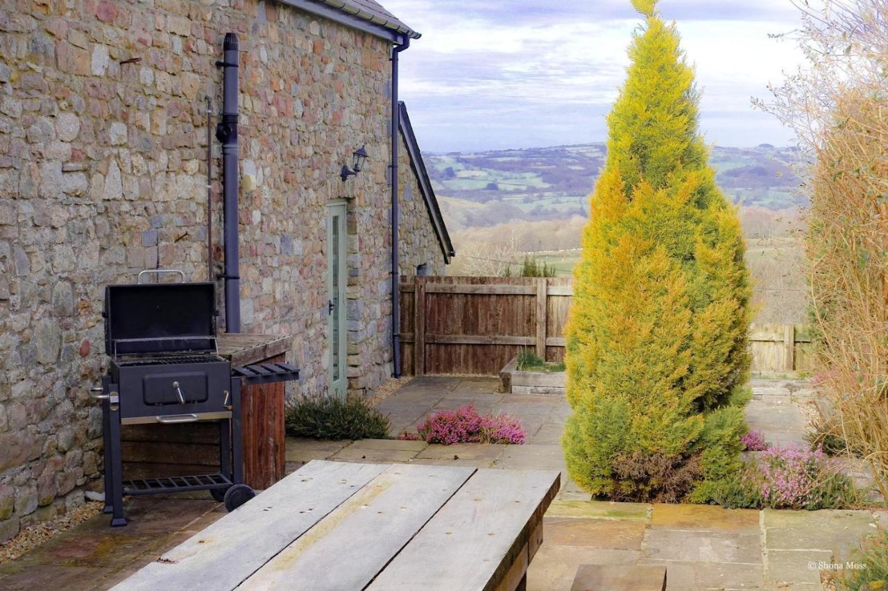 Rhiwddu Barns Villa Llangadog Exterior photo