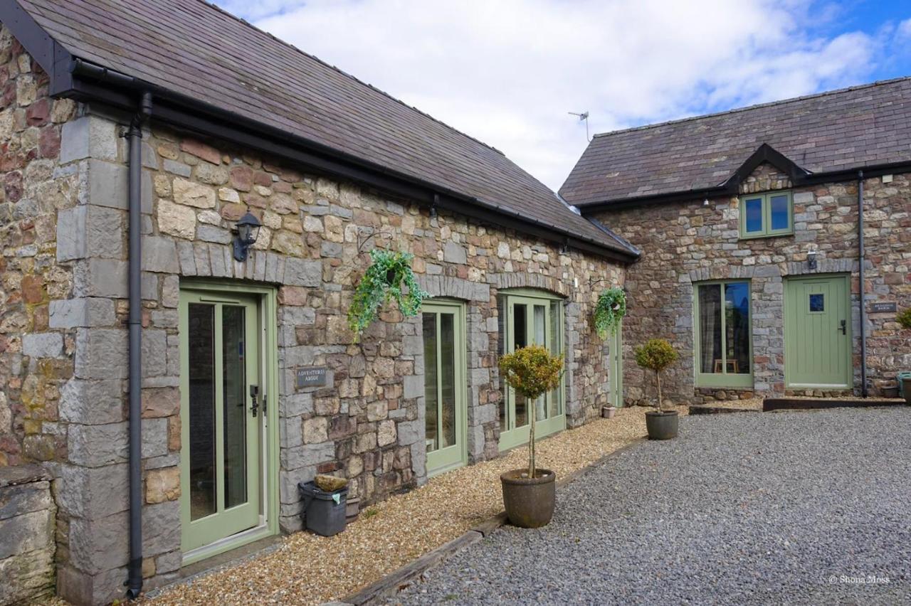 Rhiwddu Barns Villa Llangadog Exterior photo