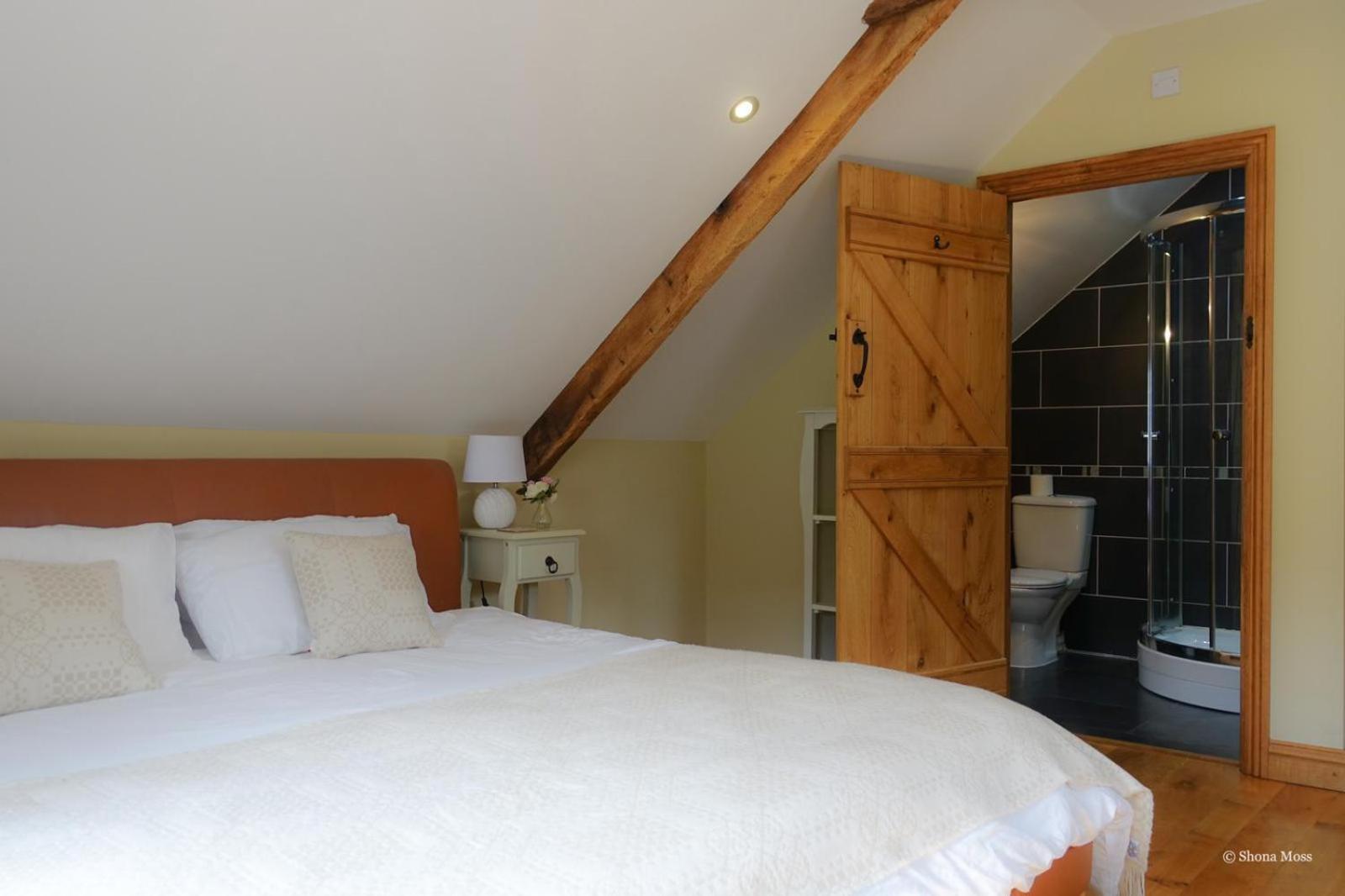 Rhiwddu Barns Villa Llangadog Room photo